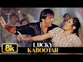 Lucky Kabootar Video Song Daag The Fire Sukhwinder Singh Rajesh Roshan Sanjay Dutt Mahima