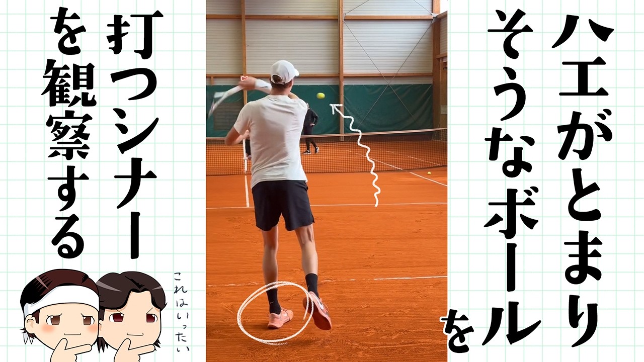 世界最速テニス選手シナー、ハエが止まりそうなボールを打ってしまう。【ゆっくり解説】