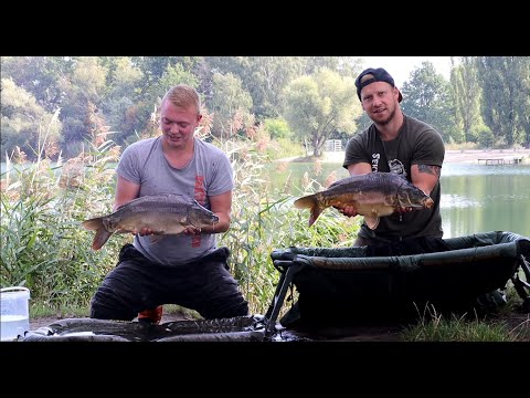 Karpfenangeln 2021 VTB08, Neuer See in Brandenburg mit Erfolg! Nature, Drone, Fishing, Carp, Outdoor