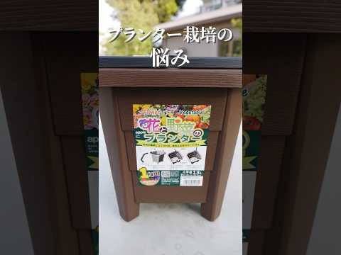 菜園と組み合わせてはいけない植物はどれですか?悪い関連付けの完全なリスト  庭園