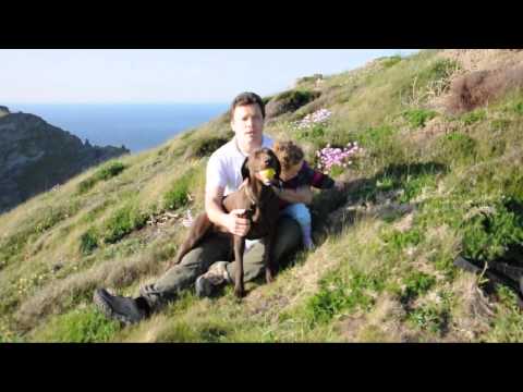 happy birthday kirti