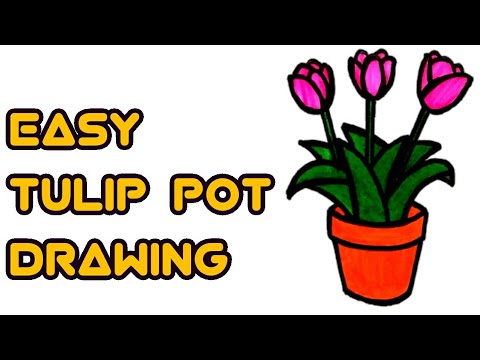 How to draw a Tulip in a Pot | Tulip flower | Flower | Drawing | How to draw Tulip | Pencil Drawings