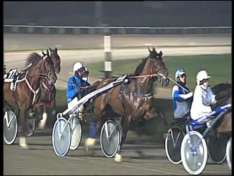 Trotto 07/01/2016 - 8° corsa