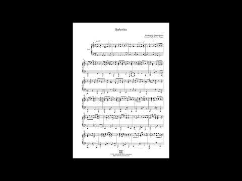 Senorita Piano Performance Video