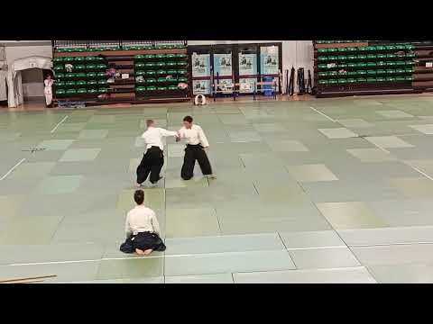 Embukai with DojoCho Mitsuteru Ueshiba - 60th Anniversary of Aikikai Italy 🎉🇮🇹✨