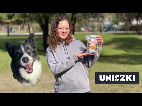 Szybka nauka komendy leżeć