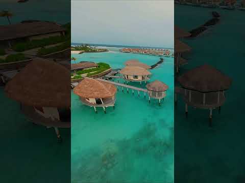 Radisson Blu Maldives 🐬