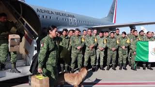 Mexico hails rescue dog that died in Turkey