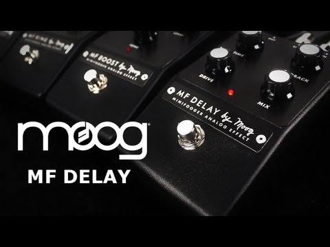 Moog Minifooger Analog Delay