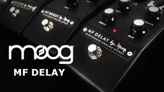 Moog Minifooger Analog Delay