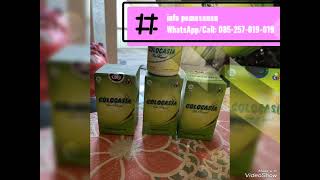 Download lagu Manfaat Colocasia obat nyeri sendi, Harga Colocasia asli original. mp3 Download lagu Manfaat Colocasia obat nyeri sendi, Harga Colocasia asli original. mp3