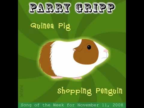 Video thumbnail for Guinea Pig