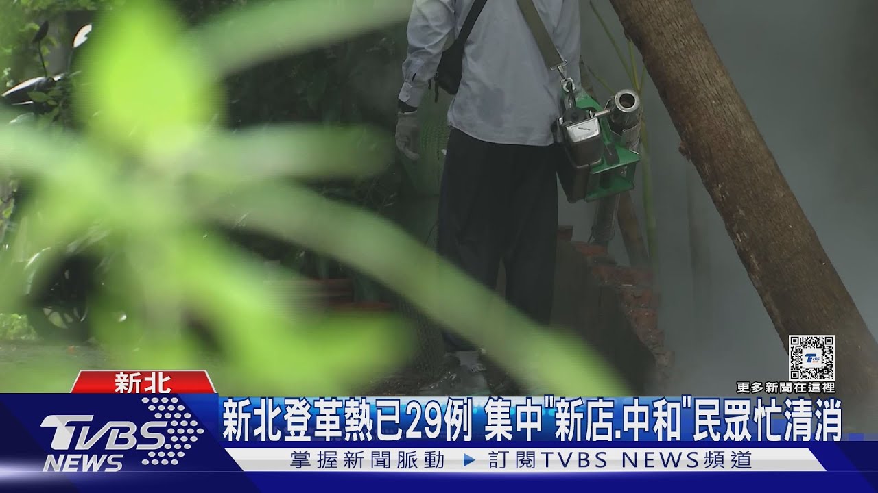 新北登革熱已29例 集中「新店、中和」民眾忙清消