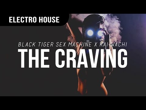 Black Tiger Sex Machine x Kai Wachi - The Craving
