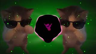 Download lagu DJ KICAU KICAU MANIA X CURI CURI PANDANG SLOW VIRAL TIKTOK FULL SONG MAMAN FVNDY 2026 mp3 Download lagu DJ KICAU KICAU MANIA X CURI CURI PANDANG SLOW VIRAL TIKTOK FULL SONG MAMAN FVNDY 2026 mp3