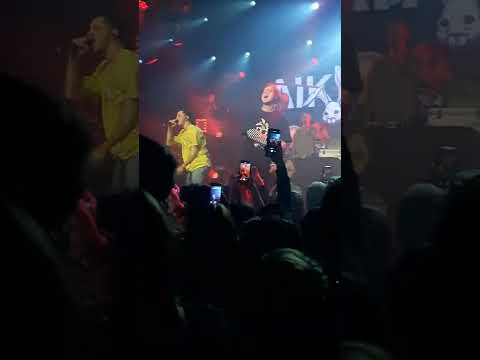 aikko, STED.D - ФИНИТА (концерт)