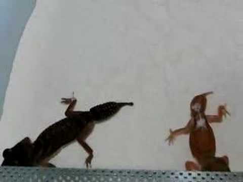 YouTube Video K7rtBnuHO_8