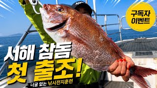 참돔이 물고도 안 걸리던 이유, 드디어 찾았습니다 ㅣ숏바이트가 많다면 이걸 확인하세요ㅣ NH 코리아 이벤트 ㅣ 대천항 한프로호