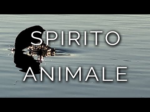 1161-IT Giuseppe, SPIRITO ANIMALE - Ipnosi Esoterica ∞ Lucio Carsi