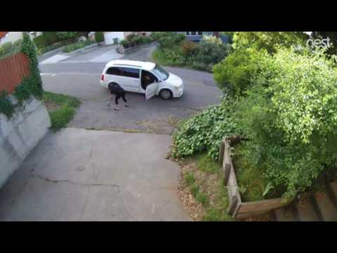 download lagu mp3 mp4 Oakland Newspaper, download lagu Oakland Newspaper gratis, unduh video klip Oakland Newspaper