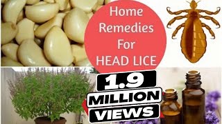 Top 5 Home Remedies To Get Rid Of Head LICE & Nits * Sushmita's Diaries