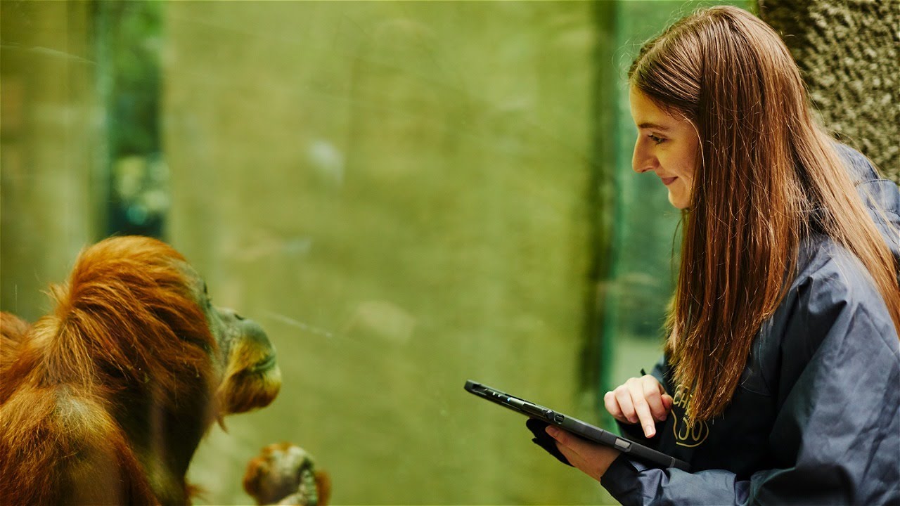 BSc (Hons) Animal Behaviour and Conservation · Manchester Metropolitan University BSc (Hons) Animal Behaviour and Conservation · Manchester Metropolitan University
