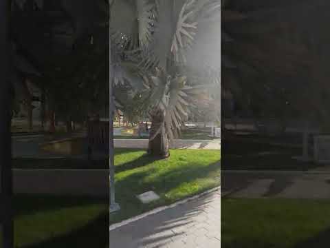 tarde linda e maravilhosa em custódia pe Deus seja louvado