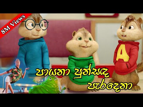පායනා පුන්සඳ පැරදෙනා - payana punsada paradena remix | Chipmunks version song | Himabole Studio