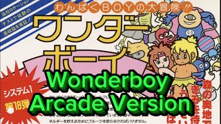 Wonderboy Arcade #videogames #gaming  #retrogaming #sega #gamingchannel 