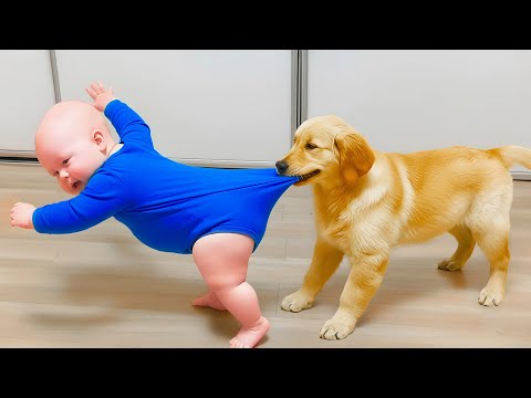 The Funniest & Cutest Interactions Between Babies and Animals - Funny Baby Video || COOL PEACHY