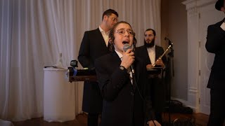 שמולי שניידר וזאבי וורצברגר - חופה