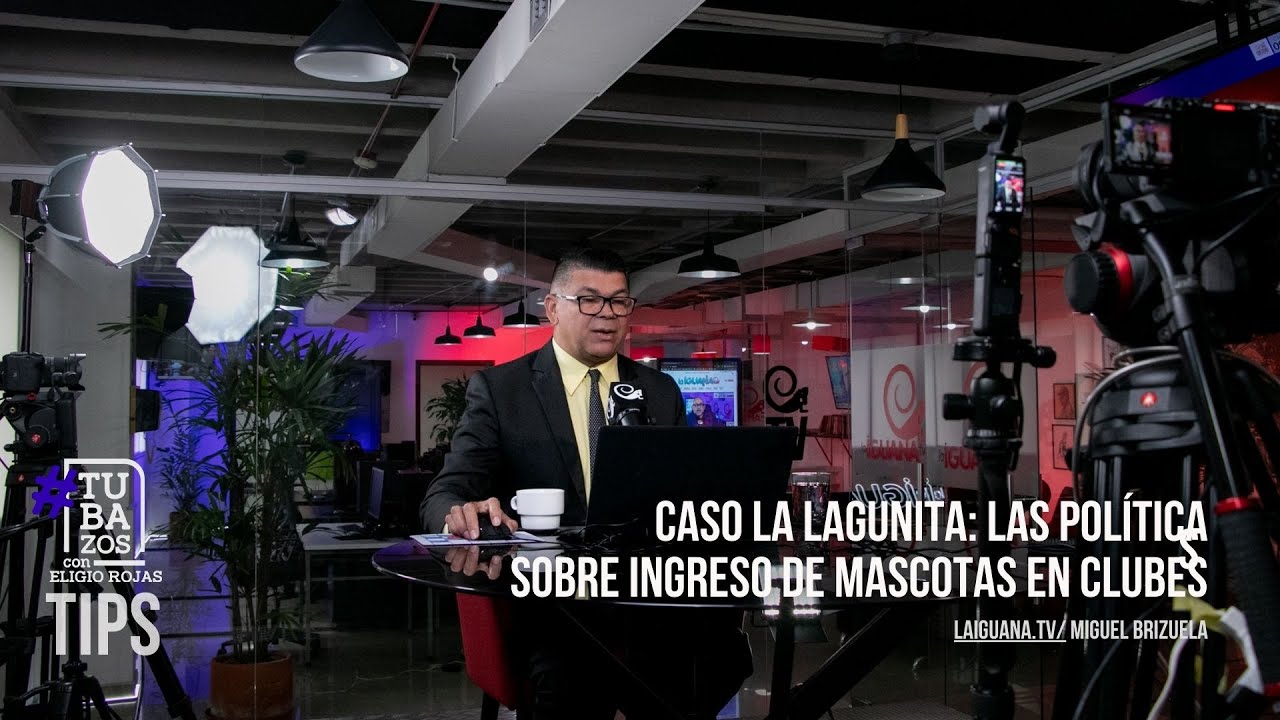 Caso La Lagunita: Las políticas sobre ingreso de mascotas en clubes