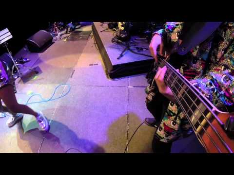 Tim Curnick - WOMAD 2014 - Bass Cam