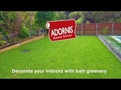 Decorate Your Indoors With Lush Greenery