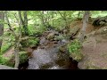 Peak District - Padley Gorge ( from Hathersage or Grindleford )