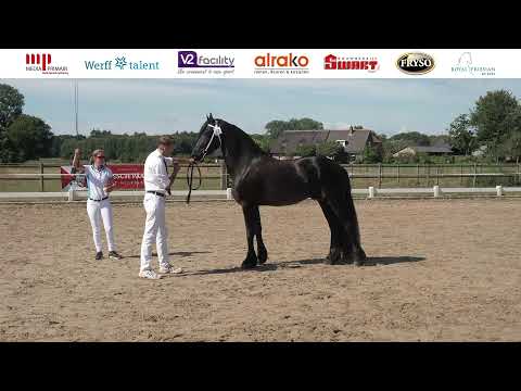 Stamboekkeuring | Vorden | 6 september 2025