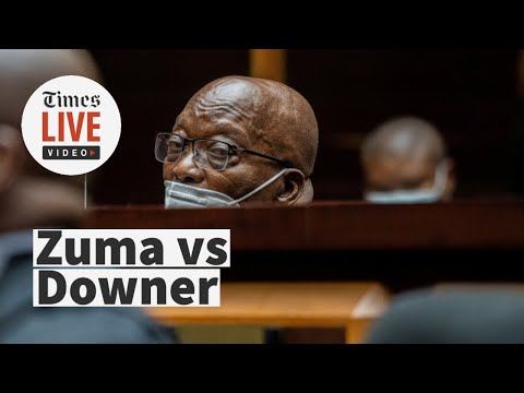 'Let's not have a Zuma law' Mpofu argues for prosecutor Billy Downer to be removed from case