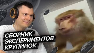 Медиа рецензия