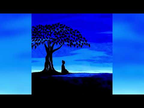 Joseph Goldstein – Insight Hour – Ep. 7 – The Buddha’s Journey