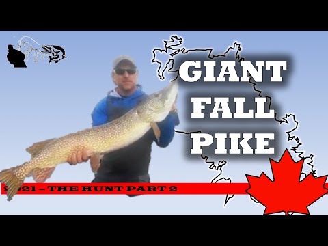 How To Fish For Fall Pike Fishing In Canada, Big Pike Fishing - The Hunt Part 2