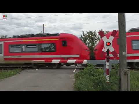 Bahnübergang Rehfeld (Falkenberg) #2 (D) - 26.8.2023 / Železniční přejezd / German railroad crossing