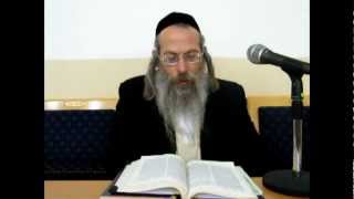 הרב אליהו גודלבסקי | כוח המושך והכוח המכריח - שיעור מלא