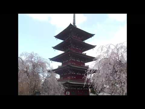 ブラームス：運命の歌 Op.54（ブロムシュテット）　Brahms - Schicksalslied（Blomstedt）