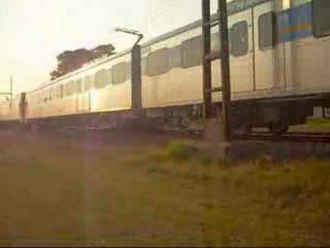 Clayton Sightings 18/04/2008