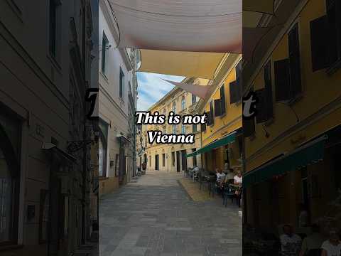 This Is Pécs! Hungary’s Most Amazing City! #pécs #hungary #magyar #viral #europe #hiddengems