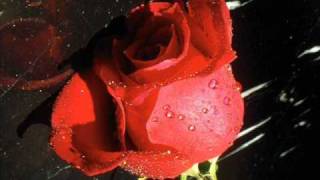 Fiore- Biagio Antonacci.wmv