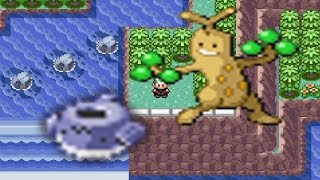 How to find Wailmer Pail and Sudowoodo in Pokemon Emerald