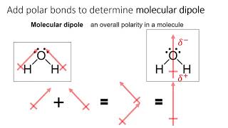 9.3 Molecular Shape and Molecular Polarity