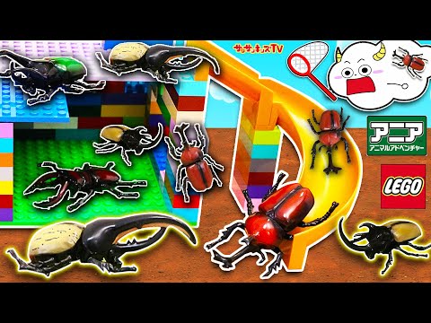 【昆虫】レゴの虫かごでクワガタやヘラクレスオオカブトを大量捕獲♪LEGO・子供向け知育教育★サンサンキッズTV★