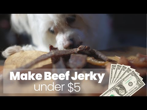 Beef jerky recipe for dogs under $5